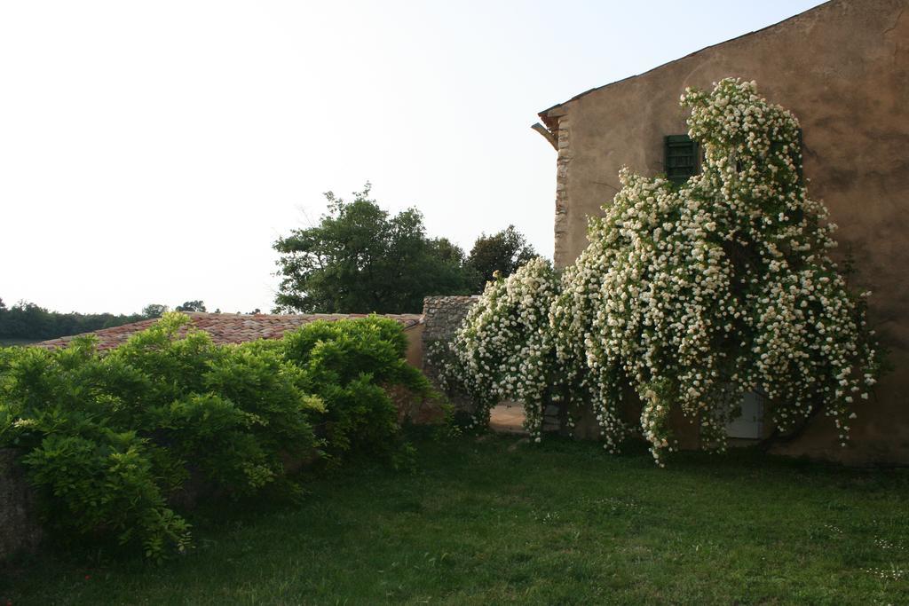 Domaine De La Blaque - B&B Varages Exterior foto