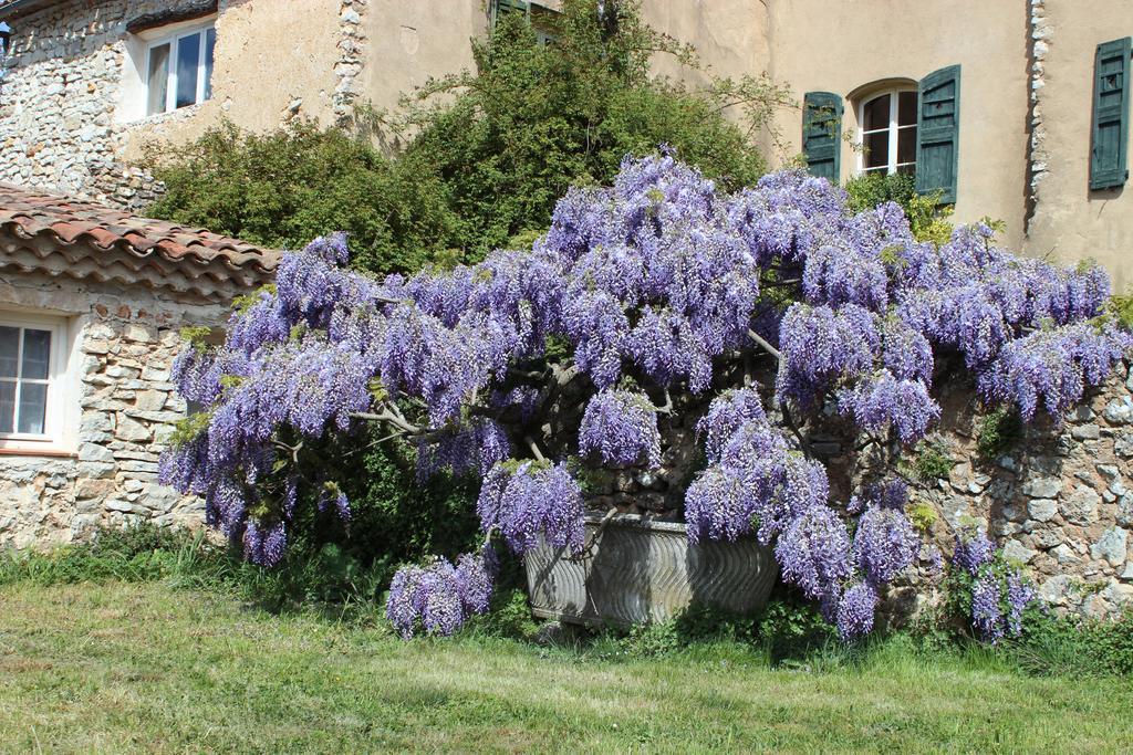 Domaine De La Blaque - B&B Varages Exterior foto